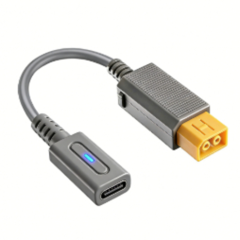 Kabel Pengisi Daya PD Tipe C 4 - Gaming Console Setup ulasan dan harga